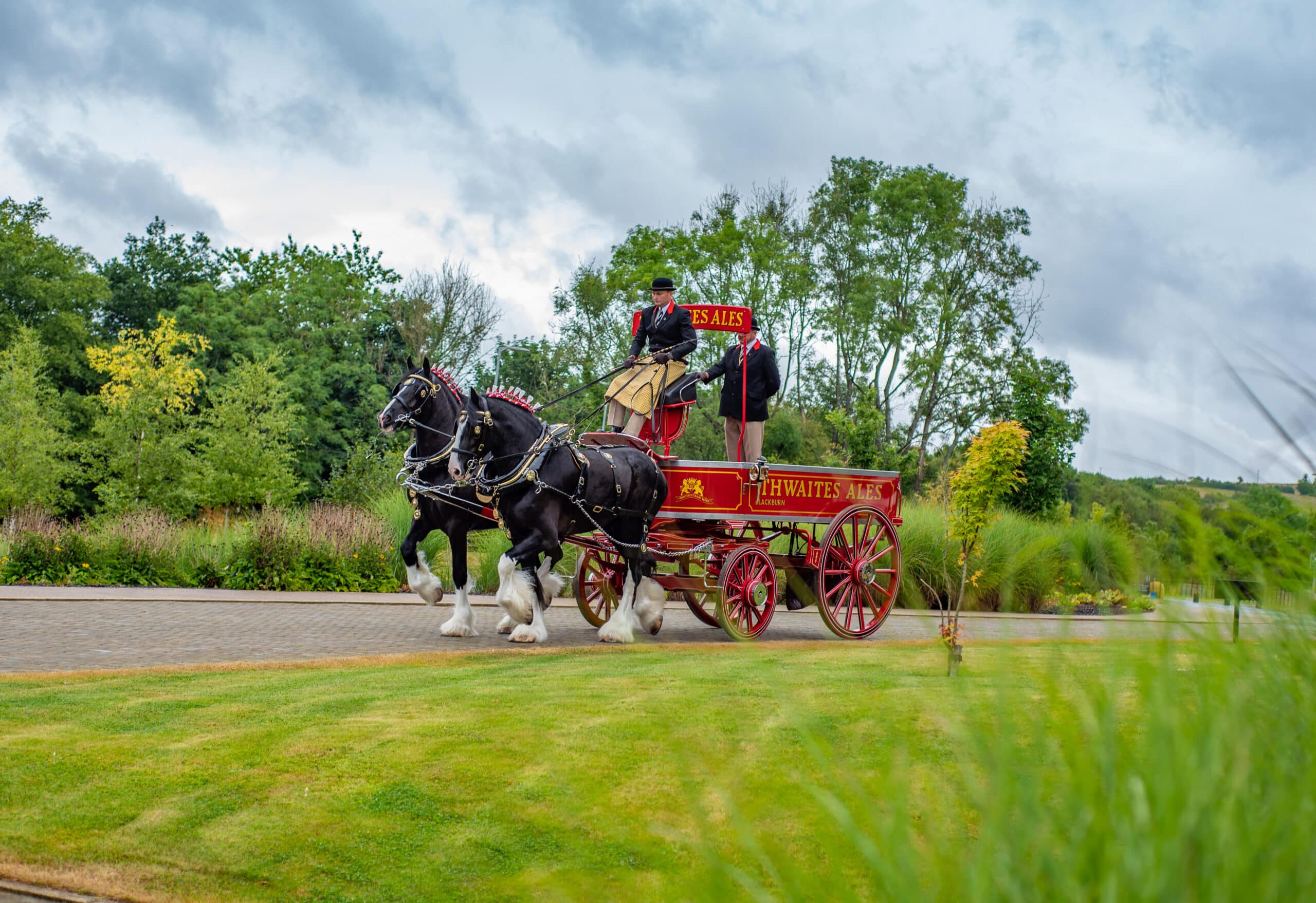 Shires 16 scaled 1