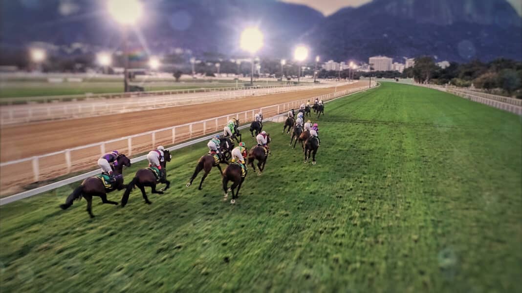 Affordable Horse Racing