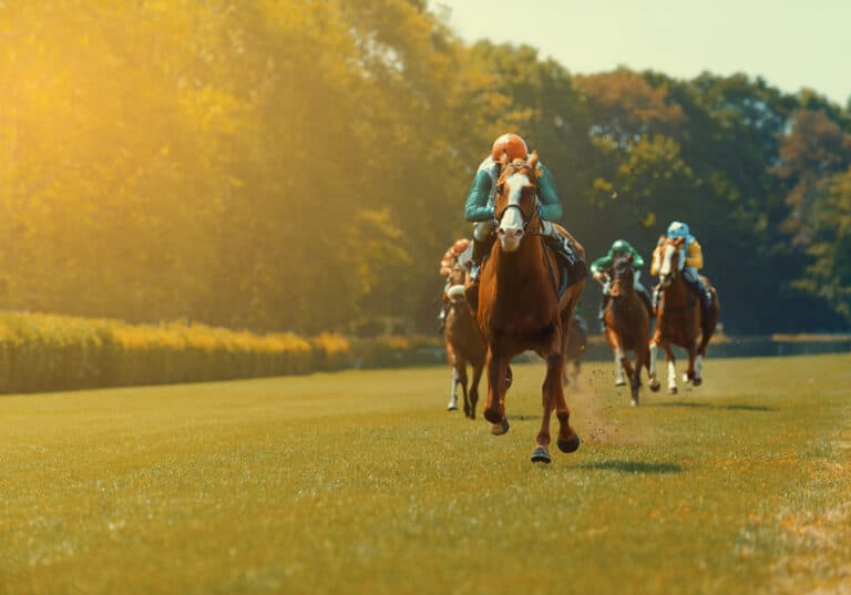Best Gifts for Horse Lovers