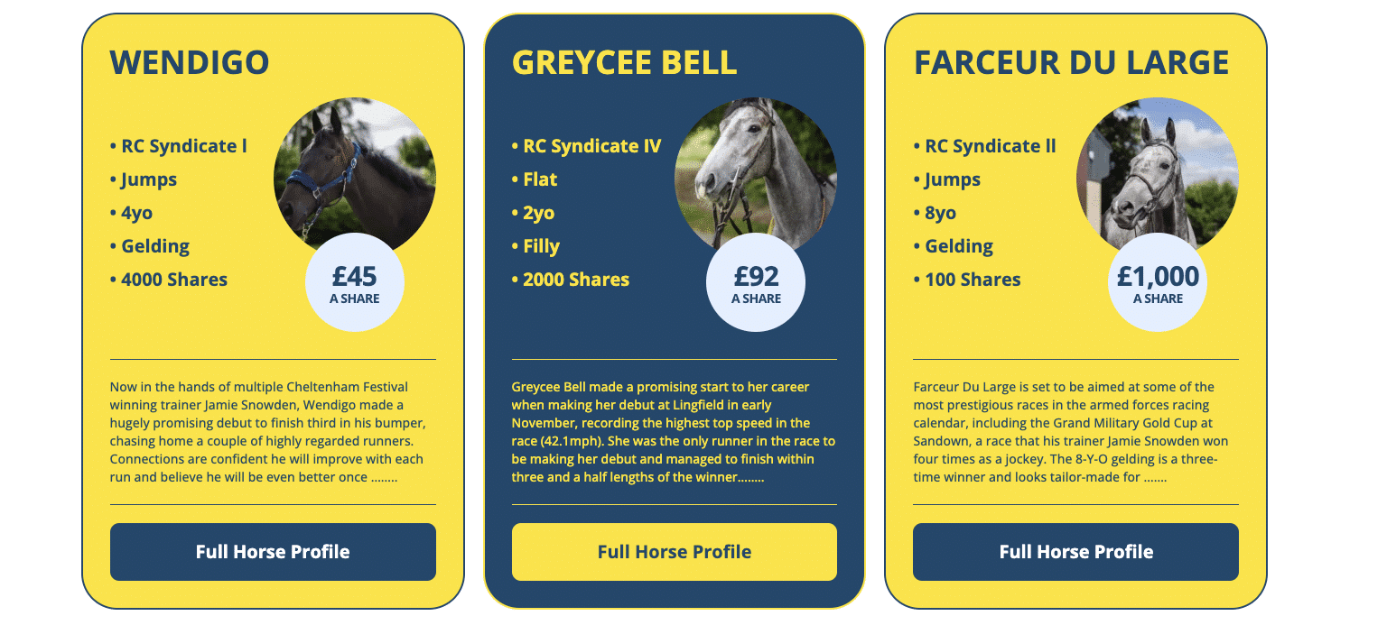 Shares in a Horse
