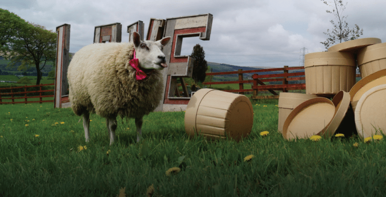 Stockport firm invents ‘groundbreaking’ edible feed tubs for animals
