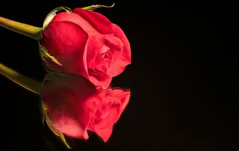 Man warns over online romance after 83-year-old sister scammed out of £20,000