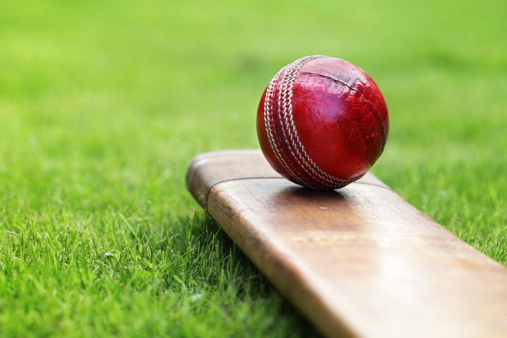 Cricket ball and bat