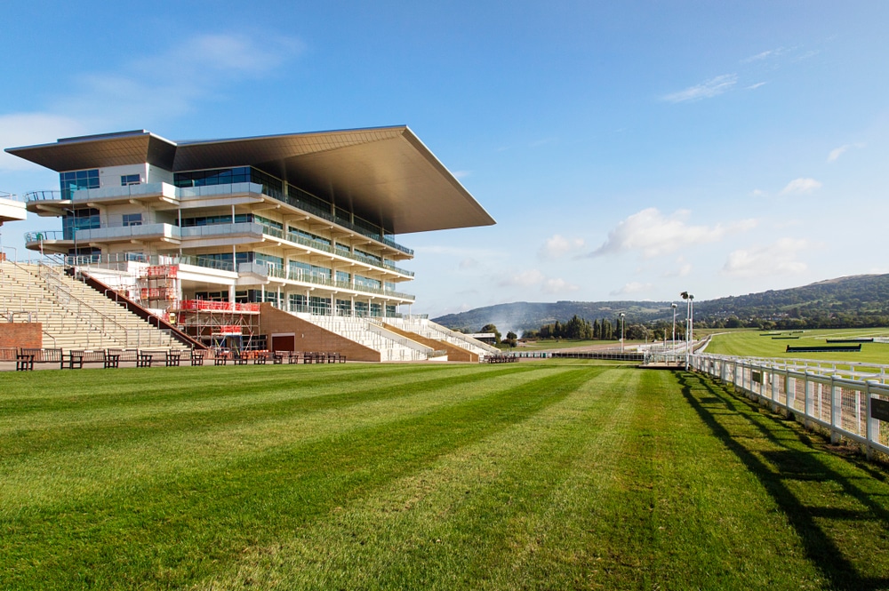 Cheltenham Festival horse racing