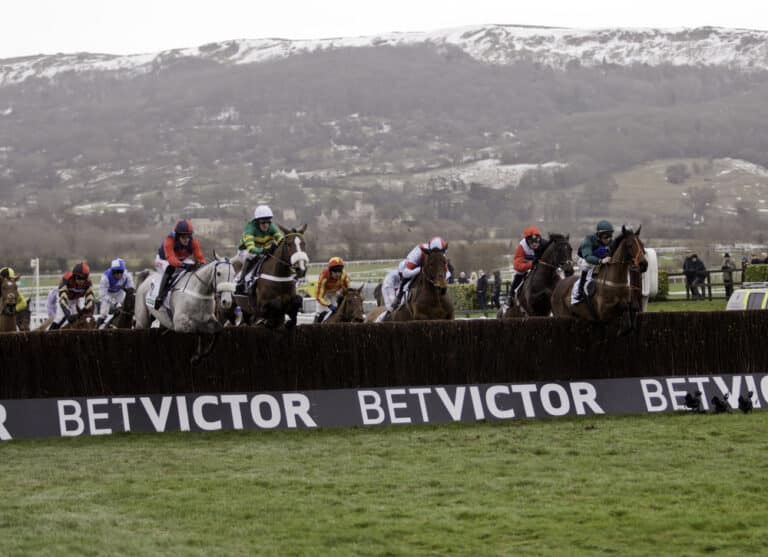 Cheltenham Festival 2024: Ferguson and Redknapp steal the headlines while Teahupoo wins the feature race