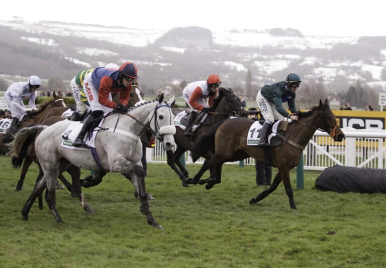 Cheltenham Festival 2024: Captain Guinness capitalises on El Fabiolo slip to win Champion Chase