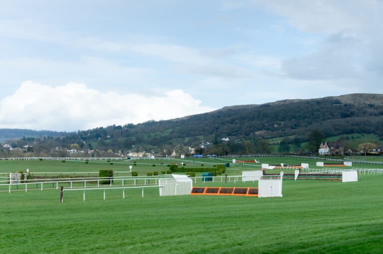 Cheltenham Festival 2024: Cross Country Chase called off due to rain