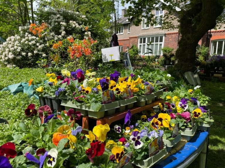 Charity springs into action to raise funds for disadvantage families