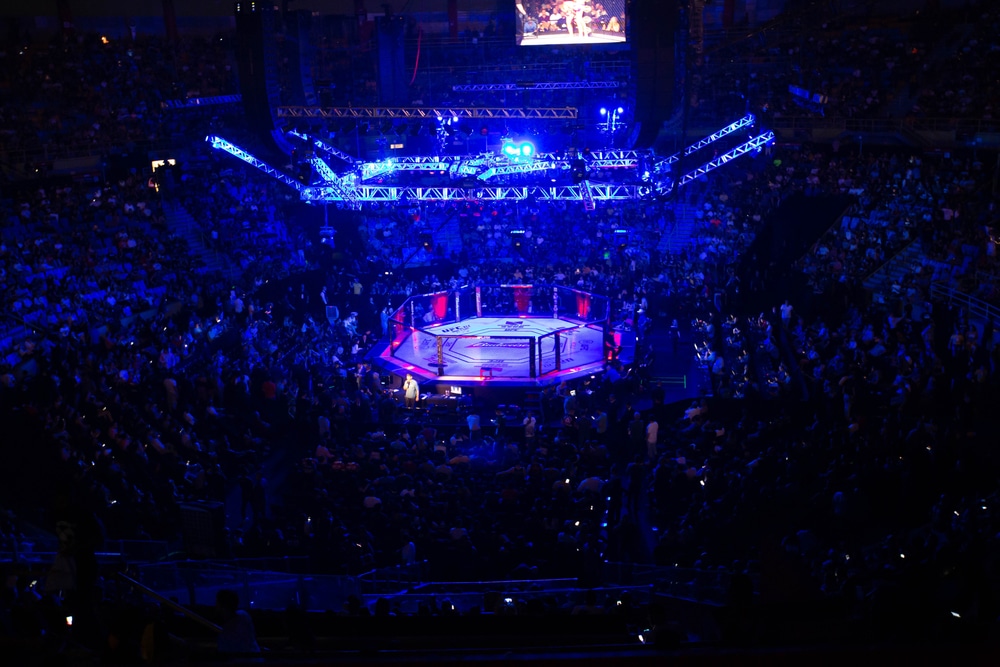 A UFC MMA Octagon