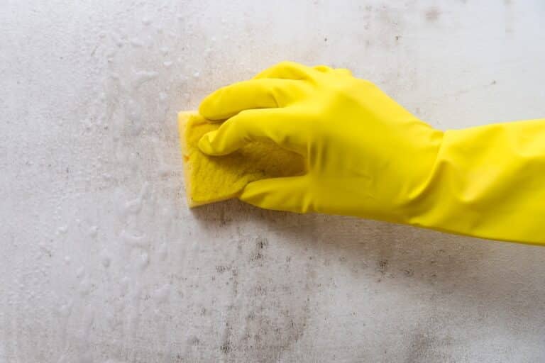 A guide to cleaning painted walls before moving home