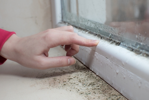 Simple steps to ward off condensation and mould this winter