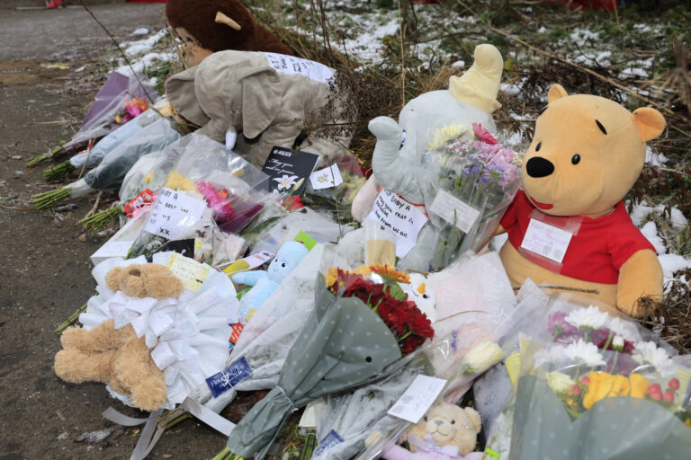One thousand flyers delivered in bid to find out more about baby Ava