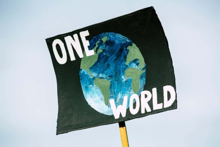 Ditch the Plastic: Sustainable Alternatives to Everyday Disposables