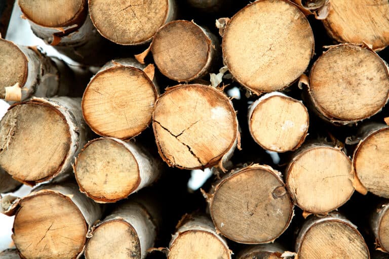 Selling firewood online: What products to offer customers