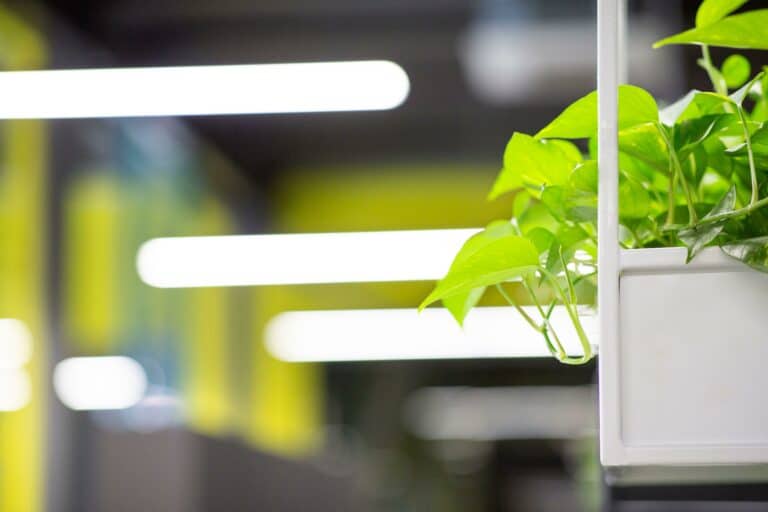 Cost-effective ways to modernise your business premises without a full renovation