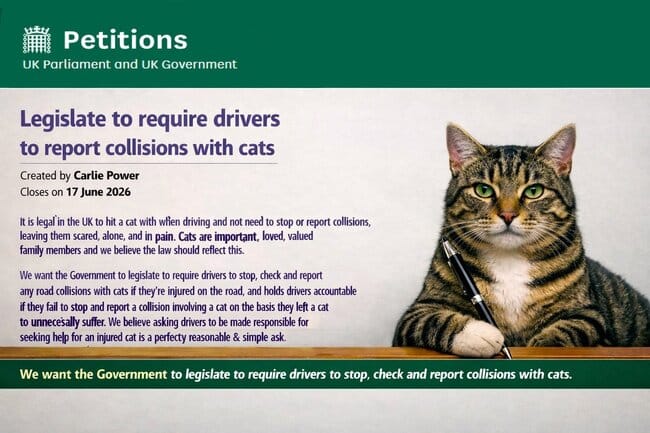 Over 60,000 Call for Urgent Reform of Roadside Animal Laws