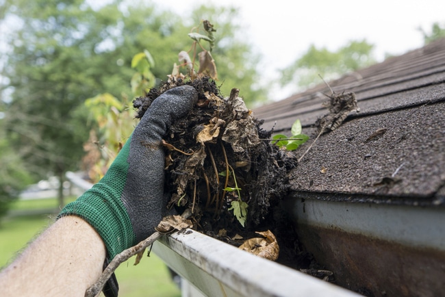 Autumn maintenance spotlight falls on the gutters Derby homeowners cannot see